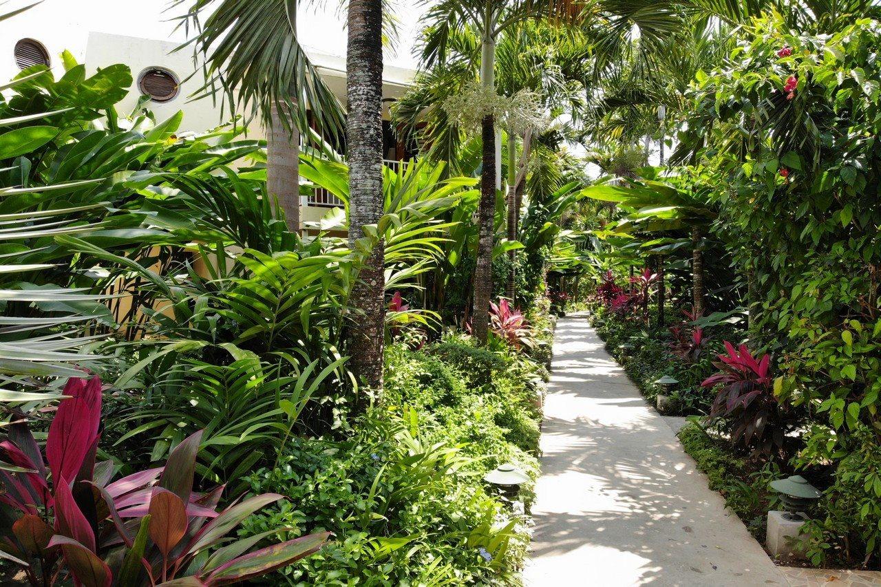 Negril Palms Otel Dış mekan fotoğraf
