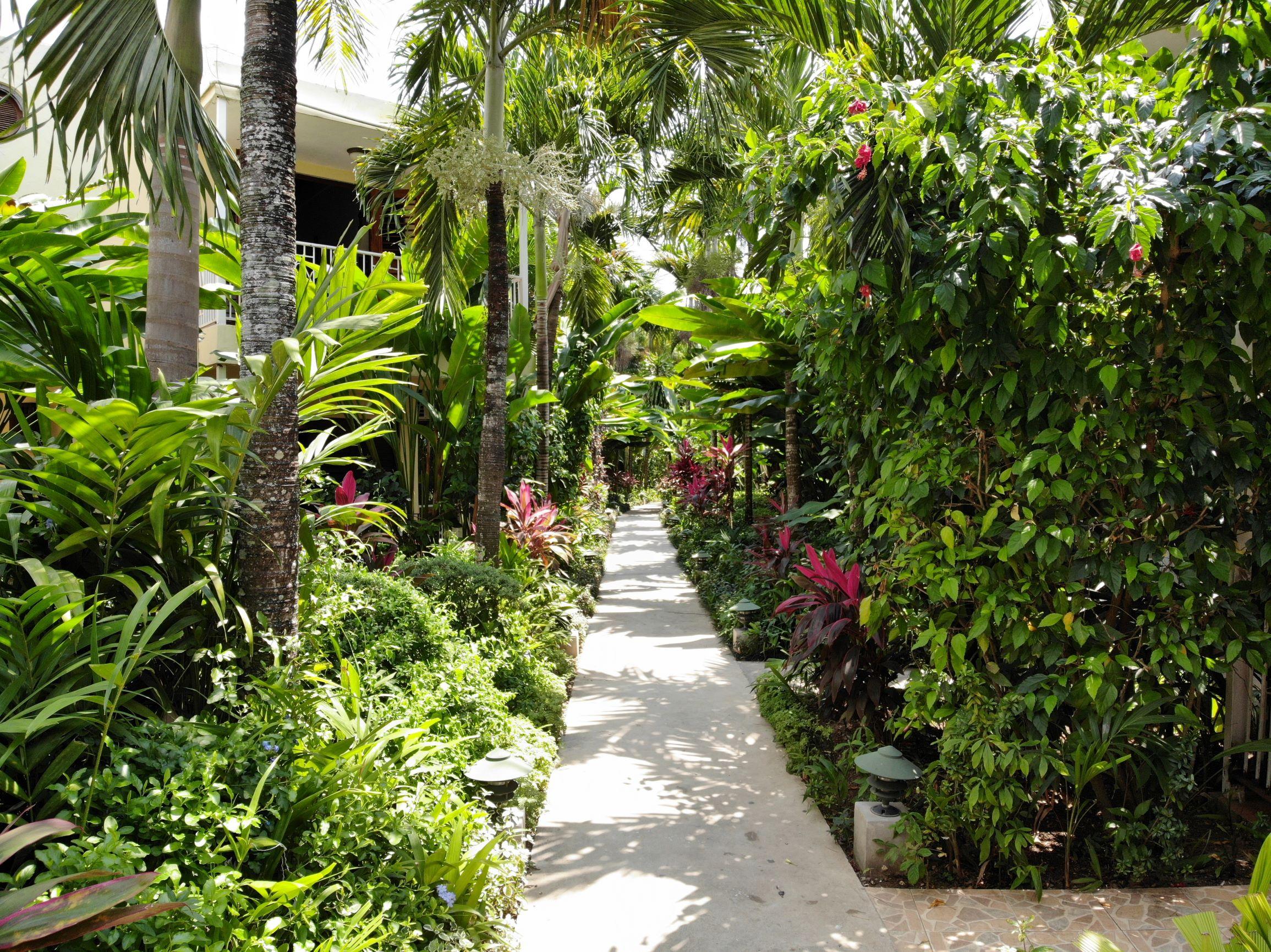 Negril Palms Otel Dış mekan fotoğraf
