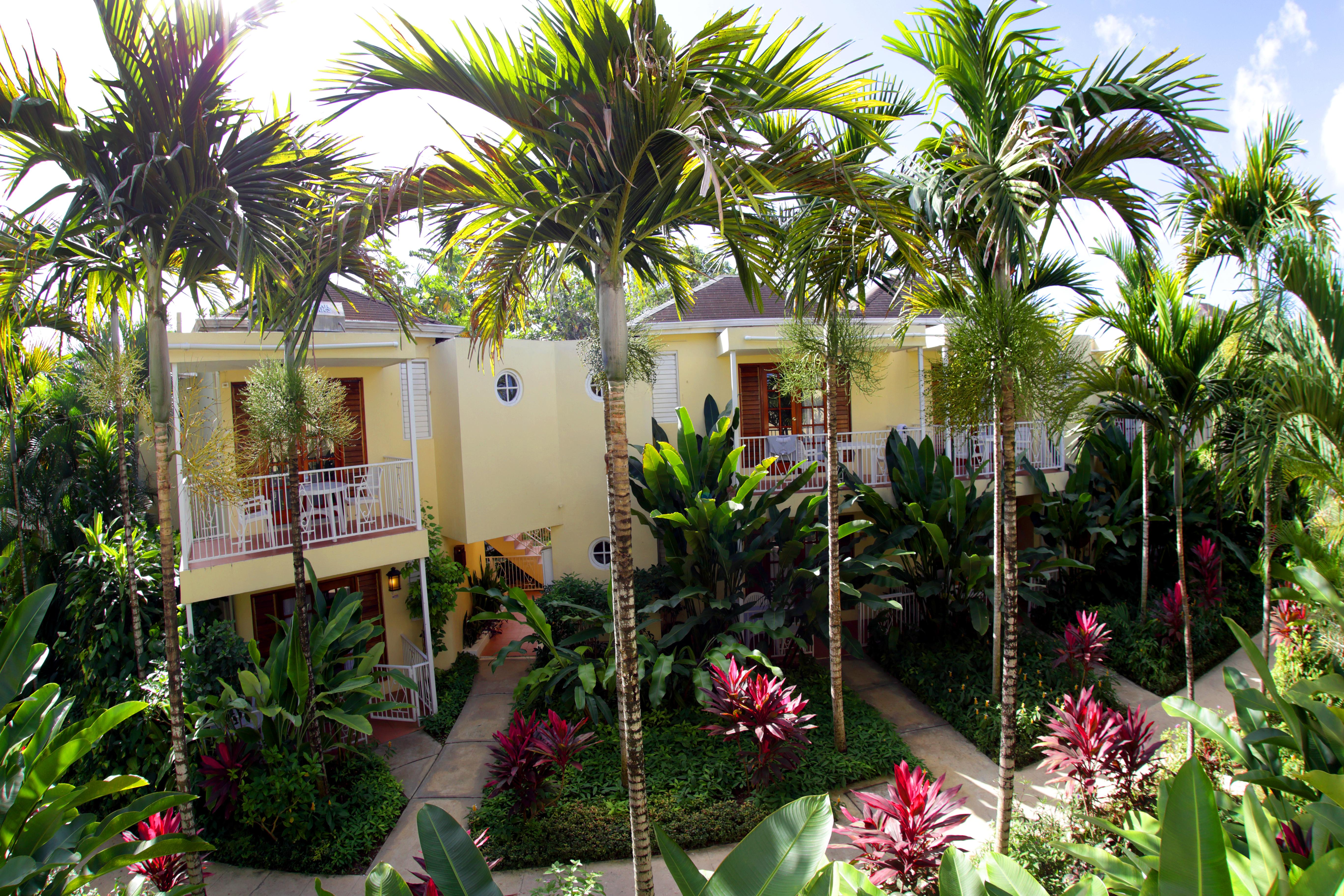 Negril Palms Otel Dış mekan fotoğraf