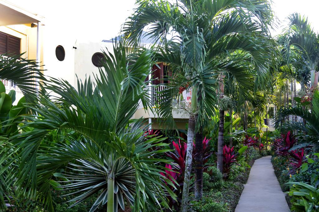 Negril Palms Otel Dış mekan fotoğraf