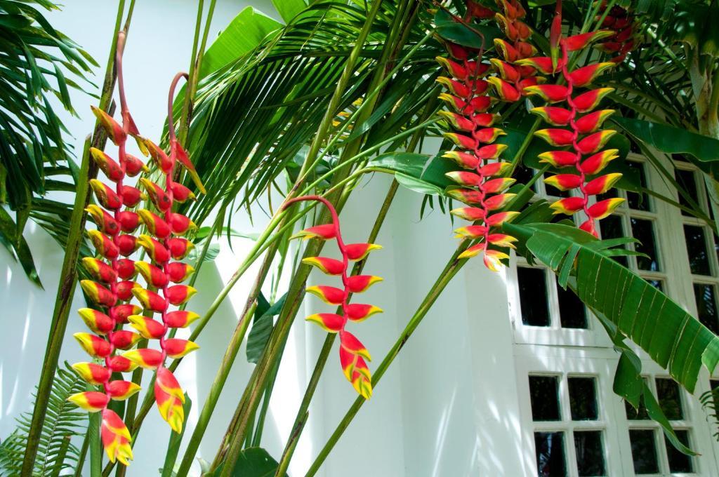 Negril Palms Otel Dış mekan fotoğraf
