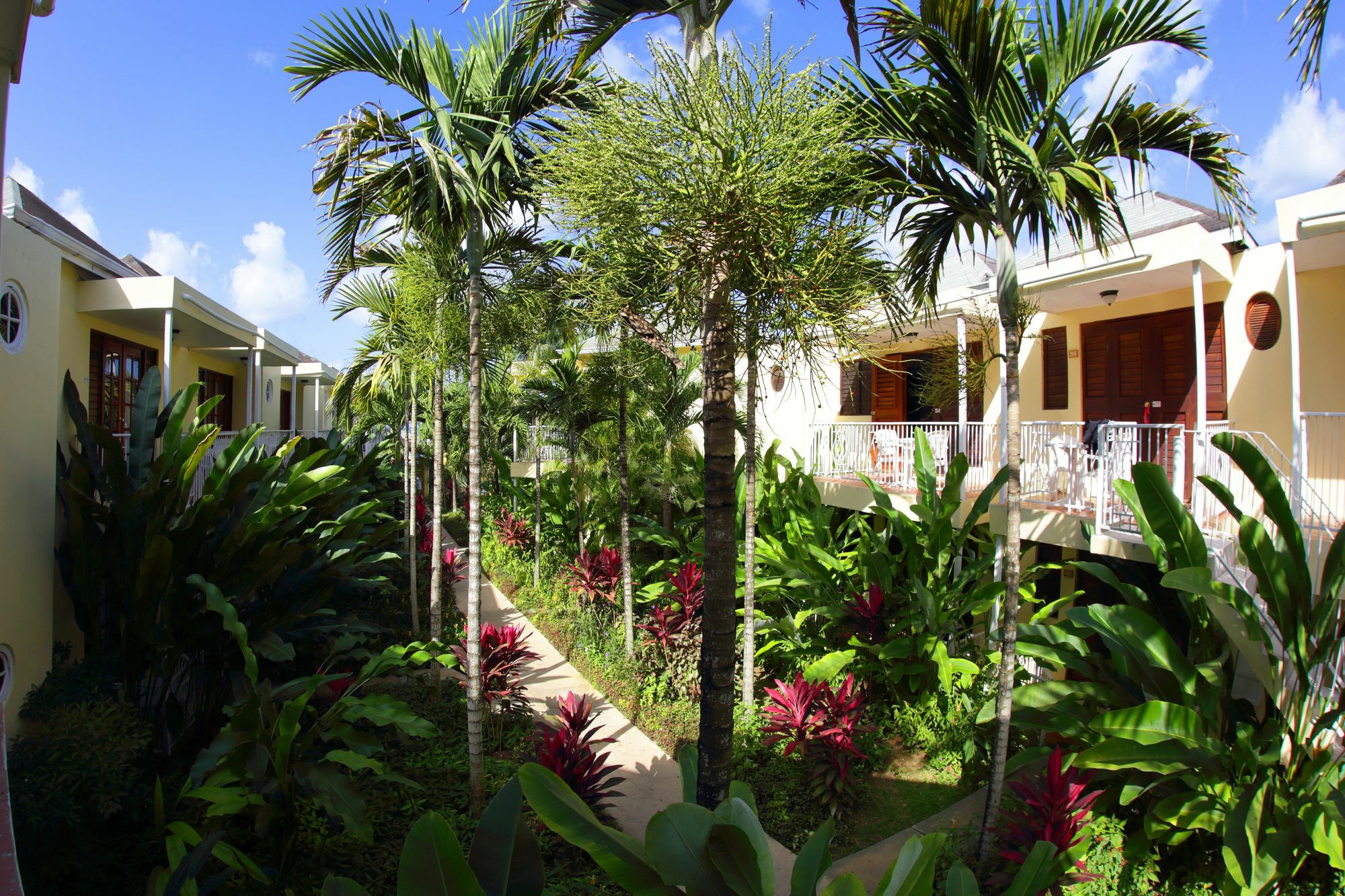 Negril Palms Otel Dış mekan fotoğraf